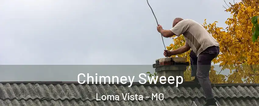 Chimney Sweep Loma Vista - MO
