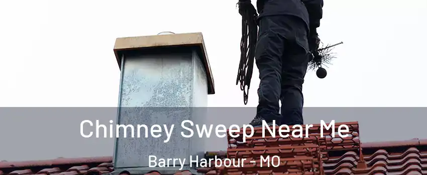 Chimney Sweep Near Me Barry Harbour - MO