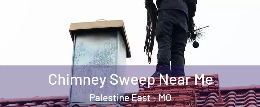Chimney Sweep Near Me Palestine East - MO