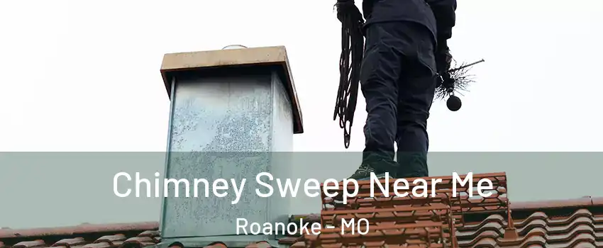 Chimney Sweep Near Me Roanoke - MO