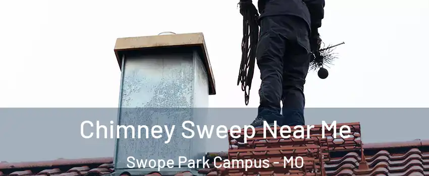 Chimney Sweep Near Me Swope Park Campus - MO