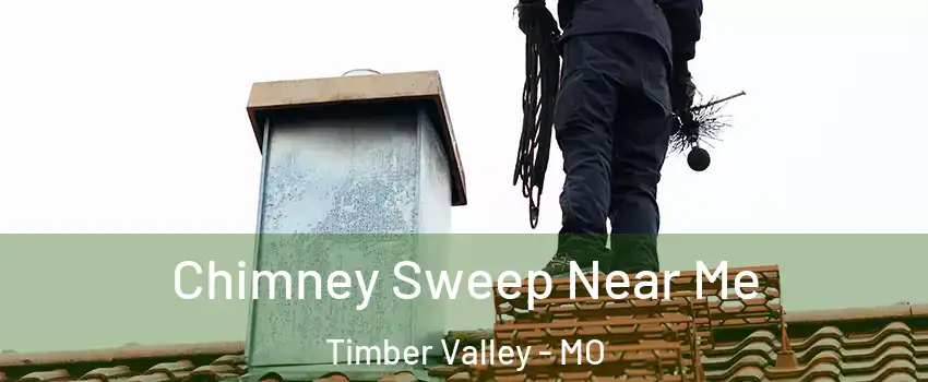 Chimney Sweep Near Me Timber Valley - MO