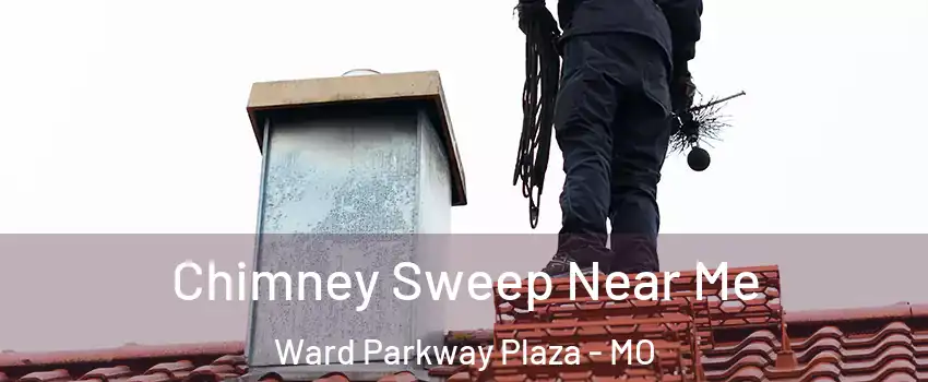 Chimney Sweep Near Me Ward Parkway Plaza - MO