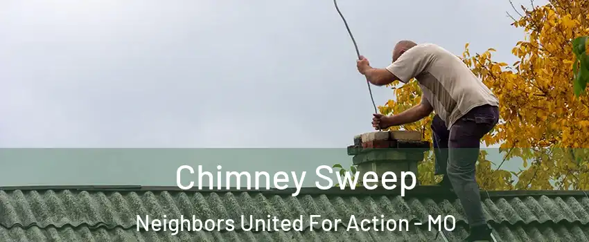 Chimney Sweep Neighbors United For Action - MO