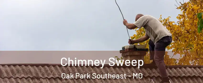 Chimney Sweep Oak Park Southeast - MO
