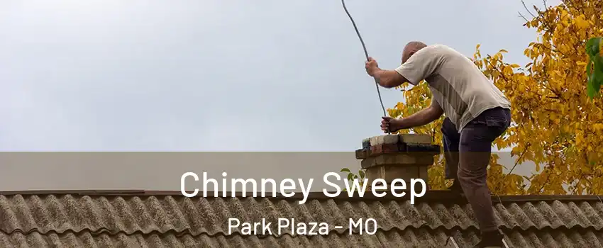 Chimney Sweep Park Plaza - MO