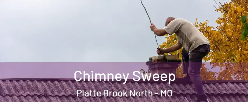 Chimney Sweep Platte Brook North - MO