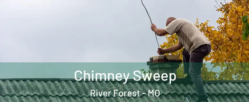 Chimney Sweep River Forest - MO