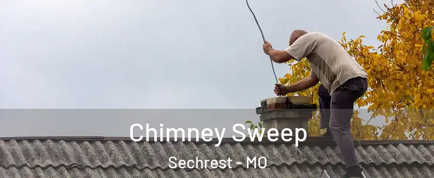 Chimney Sweep Sechrest - MO