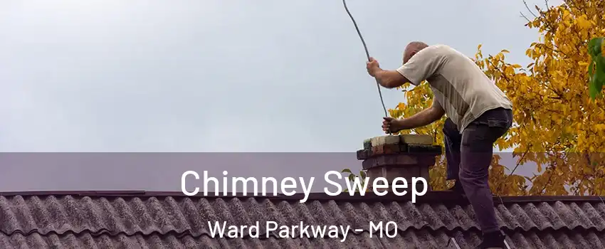 Chimney Sweep Ward Parkway - MO