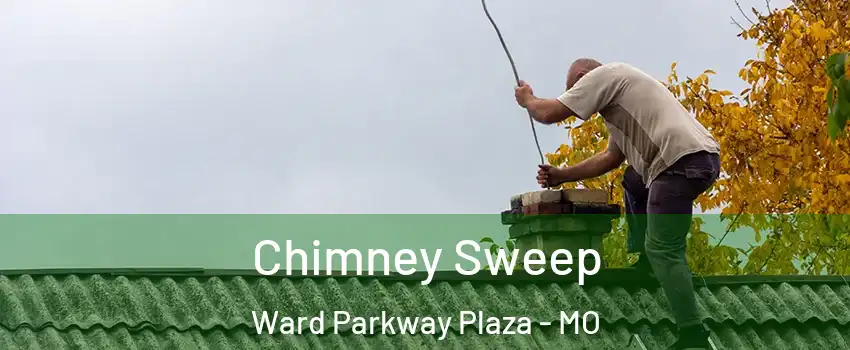 Chimney Sweep Ward Parkway Plaza - MO
