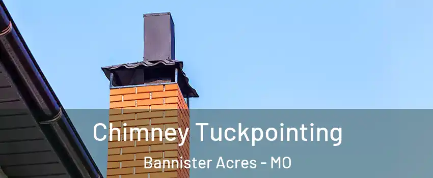 Chimney Tuckpointing Bannister Acres - MO