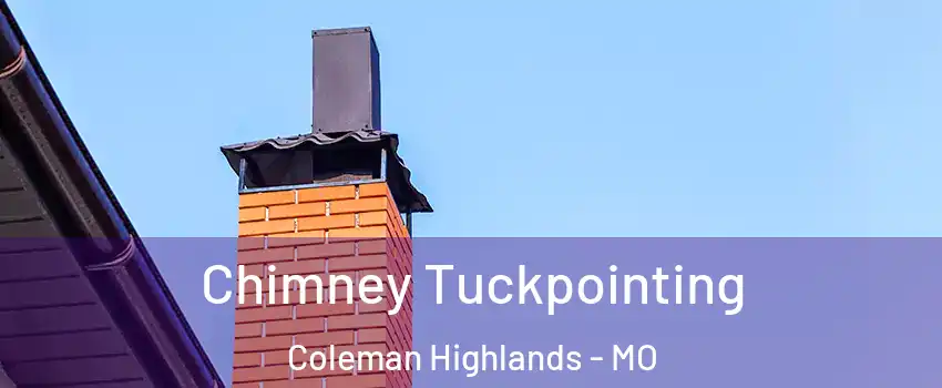Chimney Tuckpointing Coleman Highlands - MO