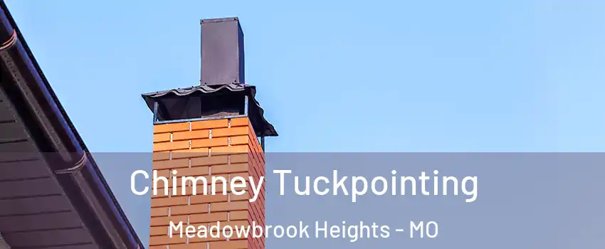 Chimney Tuckpointing Meadowbrook Heights - MO