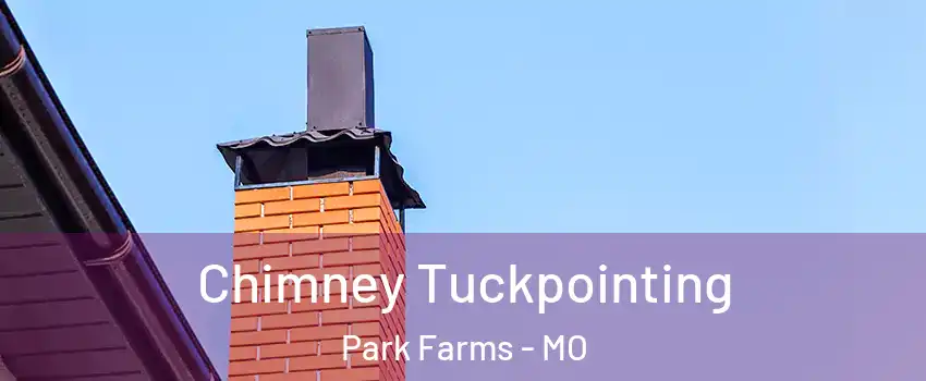 Chimney Tuckpointing Park Farms - MO