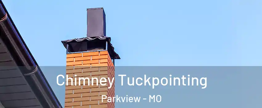 Chimney Tuckpointing Parkview - MO