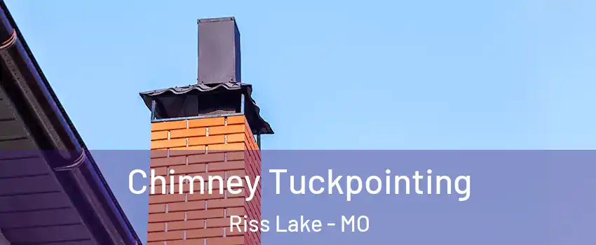 Chimney Tuckpointing Riss Lake - MO