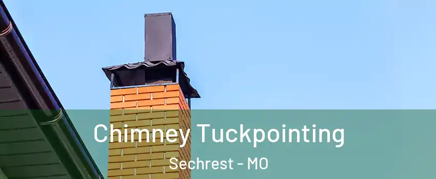 Chimney Tuckpointing Sechrest - MO