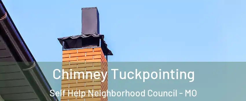 Chimney Tuckpointing Self Help Neighborhood Council - MO