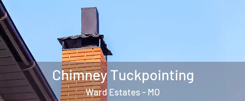 Chimney Tuckpointing Ward Estates - MO