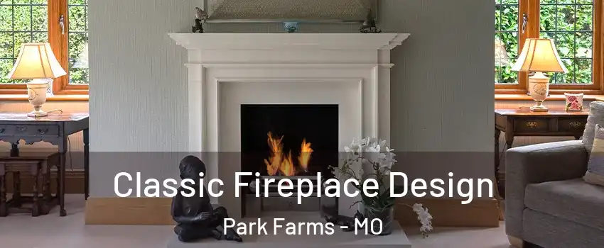 Classic Fireplace Design Park Farms - MO