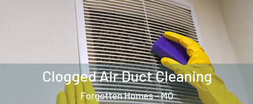 Clogged Air Duct Cleaning Forgotten Homes - MO