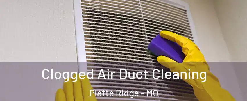 Clogged Air Duct Cleaning Platte Ridge - MO