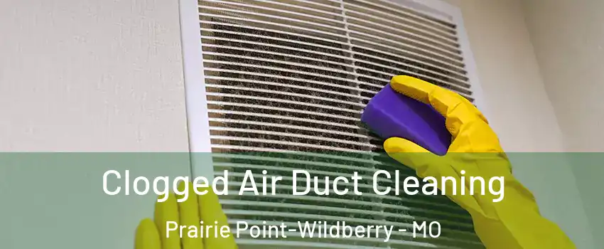 Clogged Air Duct Cleaning Prairie Point-Wildberry - MO