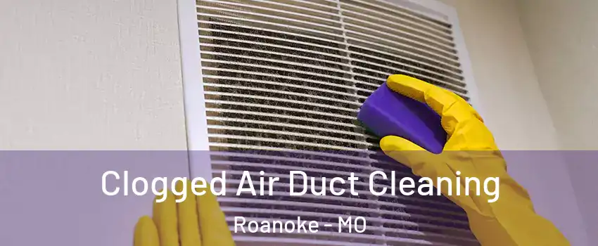 Clogged Air Duct Cleaning Roanoke - MO