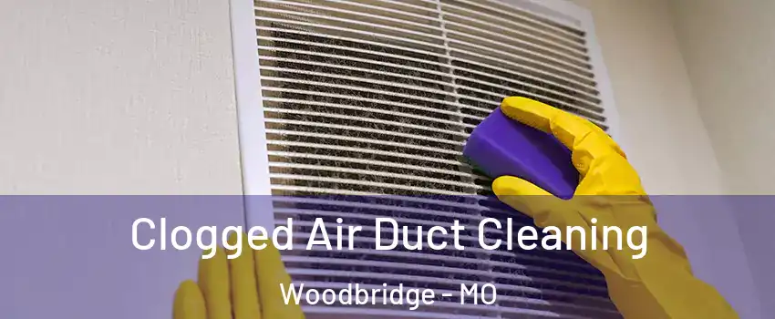 Clogged Air Duct Cleaning Woodbridge - MO