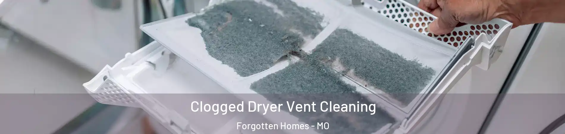 Clogged Dryer Vent Cleaning Forgotten Homes - MO