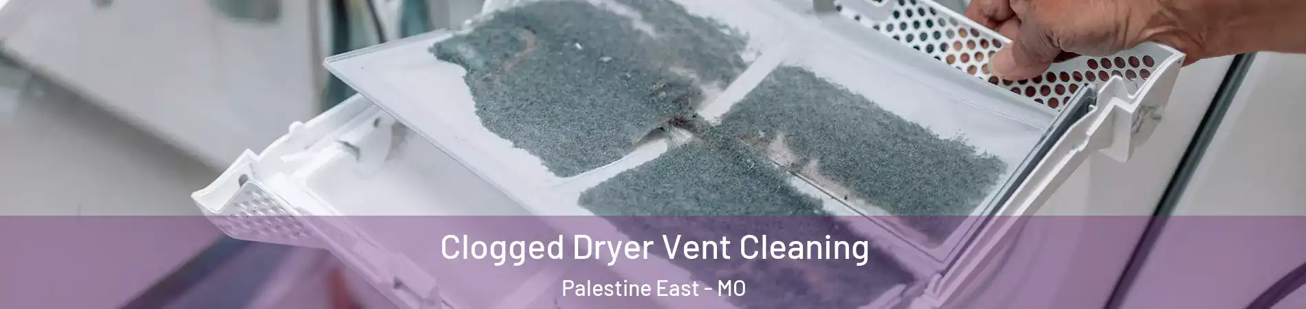 Clogged Dryer Vent Cleaning Palestine East - MO