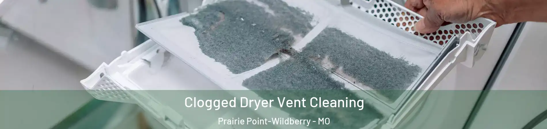 Clogged Dryer Vent Cleaning Prairie Point-Wildberry - MO