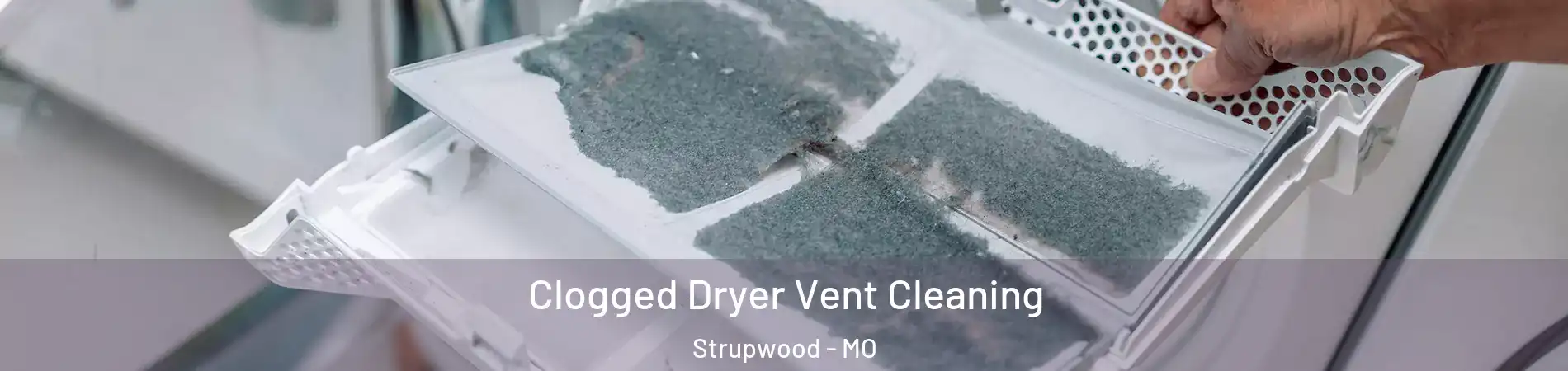 Clogged Dryer Vent Cleaning Strupwood - MO