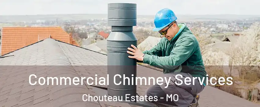 Commercial Chimney Services Chouteau Estates - MO