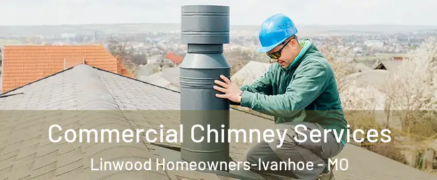 Commercial Chimney Services Linwood Homeowners-Ivanhoe - MO