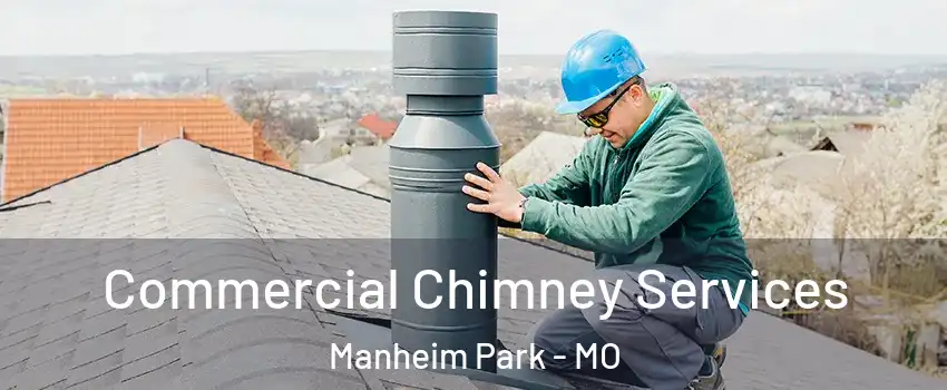 Commercial Chimney Services Manheim Park - MO
