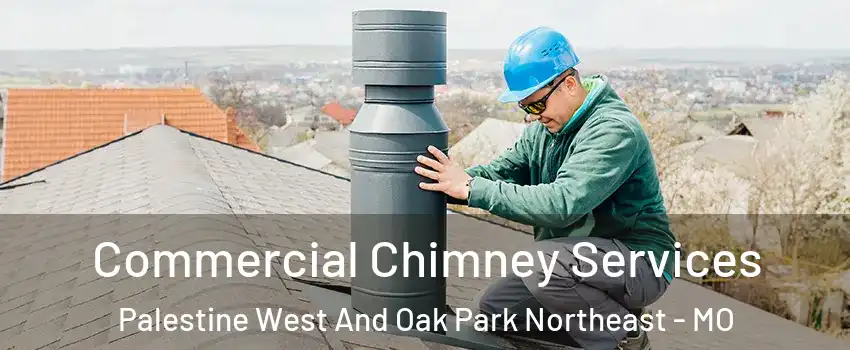 Commercial Chimney Services Palestine West And Oak Park Northeast - MO