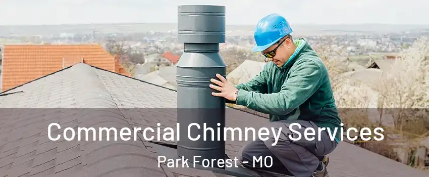 Commercial Chimney Services Park Forest - MO
