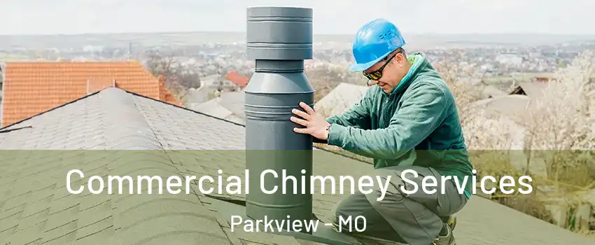 Commercial Chimney Services Parkview - MO