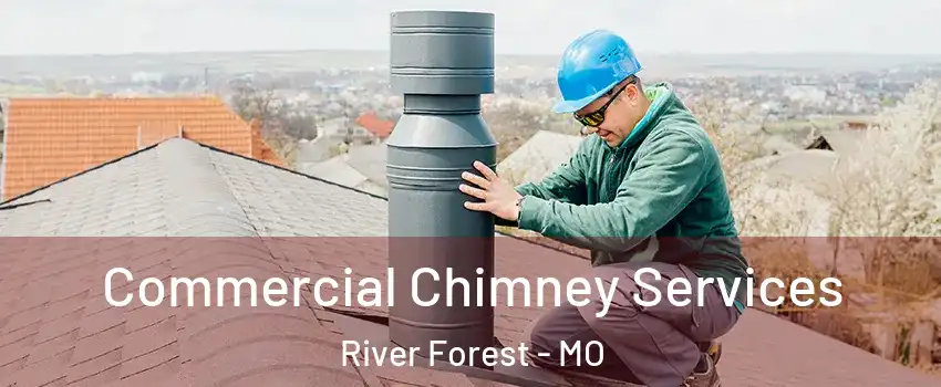 Commercial Chimney Services River Forest - MO