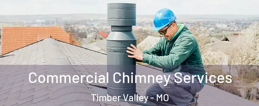 Commercial Chimney Services Timber Valley - MO