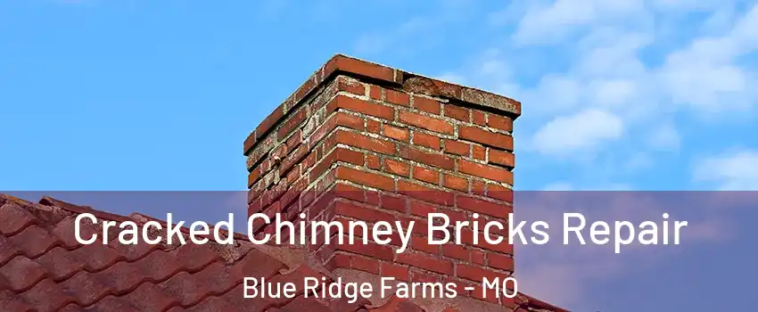 Cracked Chimney Bricks Repair Blue Ridge Farms - MO
