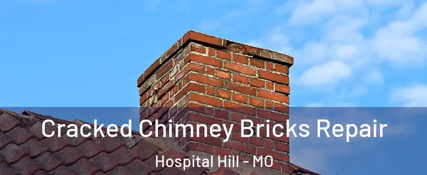 Cracked Chimney Bricks Repair Hospital Hill - MO