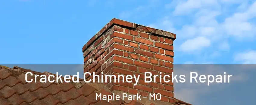 Cracked Chimney Bricks Repair Maple Park - MO