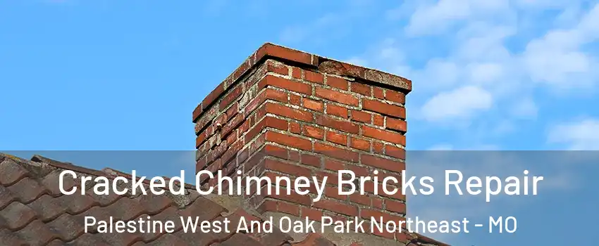 Cracked Chimney Bricks Repair Palestine West And Oak Park Northeast - MO