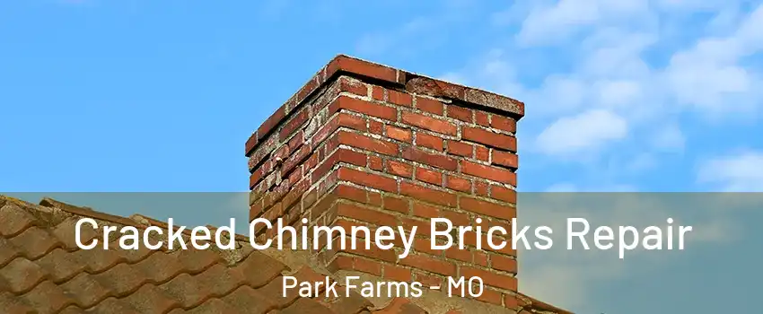 Cracked Chimney Bricks Repair Park Farms - MO