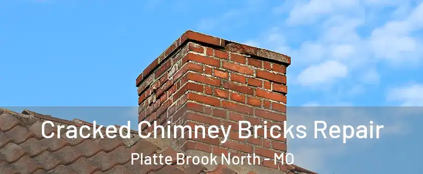 Cracked Chimney Bricks Repair Platte Brook North - MO