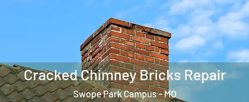 Cracked Chimney Bricks Repair Swope Park Campus - MO