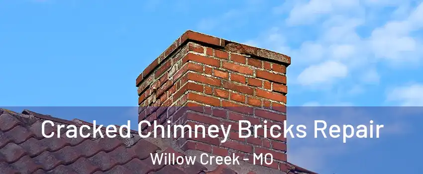 Cracked Chimney Bricks Repair Willow Creek - MO